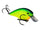 Chartreuse/Blue/Black Splatterback