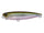 Ghost Minnow