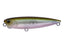 Ghost Minnow