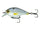 Shad Pro