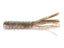 Mudbug