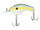 Sexy Shad
