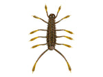 6th Sense HuzzBug