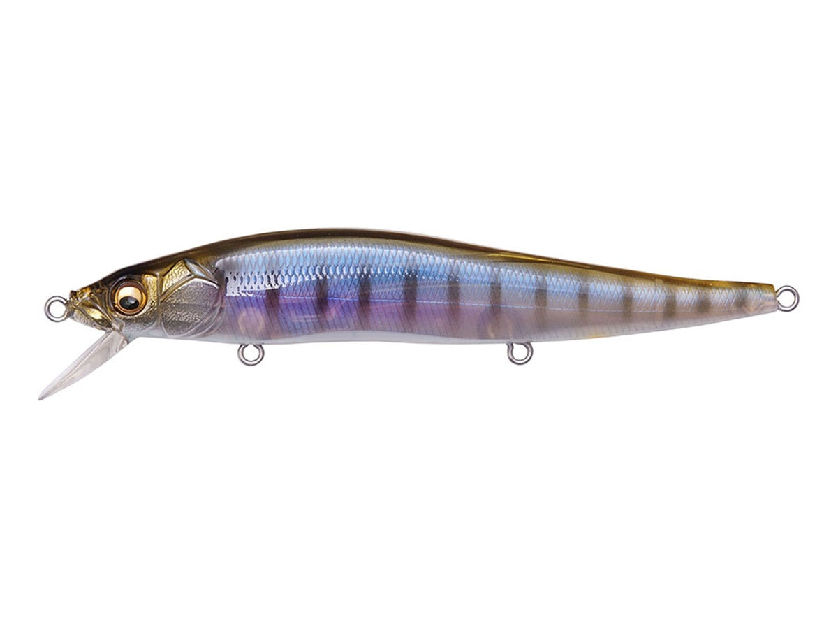 Megabass Vision 110