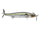 Threadfin Shad