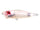 GLXS Spawn Cherry