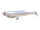 White Back Shad