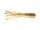 Juvi Goby