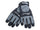 Black/Gray