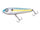 Hologram Shad  003