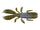 Blue Craw
