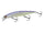 OZ  Shad