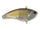 Stealth shad