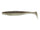 Rainbow Shad