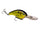 Black Back Chartreuse