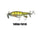 Yellow Perch