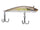 Stealth Shad