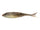 Breaking Bream