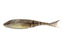 Breaking Bream