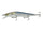 Miiken’s Matte Minnow