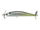 Threadfin Shad