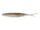 Tennessee shad