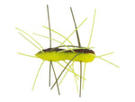 Zman fuzzy Bugz