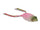 Herring pink