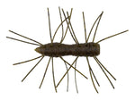 Zman fuzzy Bugz