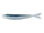 Emerald Shiner