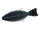 #07 Black blue flake