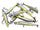 Chartreuse Shad