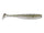 Silver flash minnow
