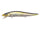 Ht Ito Tennessee Shad